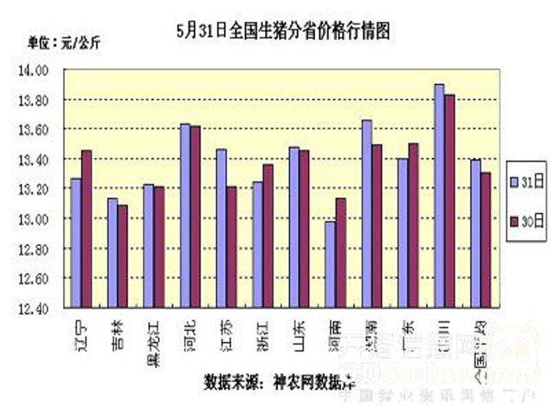 养猪业中的猪病防治新策略