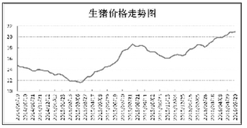 猪圈里的技术革命:养猪业的新风向标