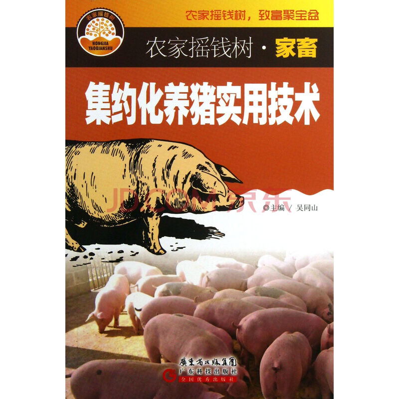 现代养猪技术:为生猪健康保驾护航