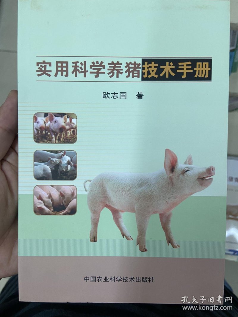 养猪技术：精细化管理引领产业升级
